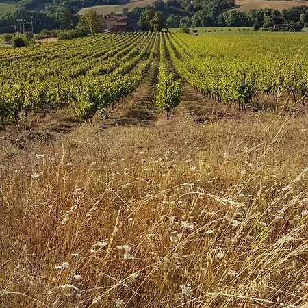 Bed & Breakfast La Maison Des Echevins 3*