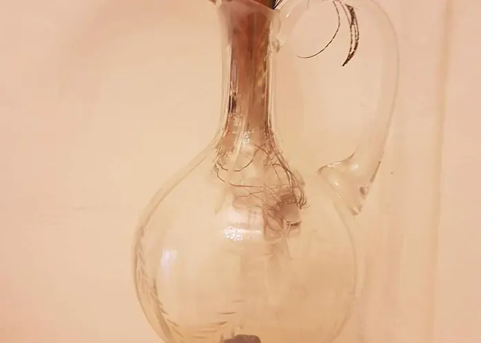 La Maison Des Echevins